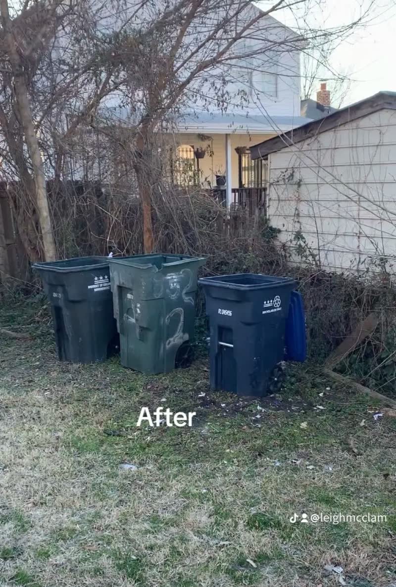 The same back garden cleared, with wheelie bins lined up neatly after a Rich Brothers rubbish removal