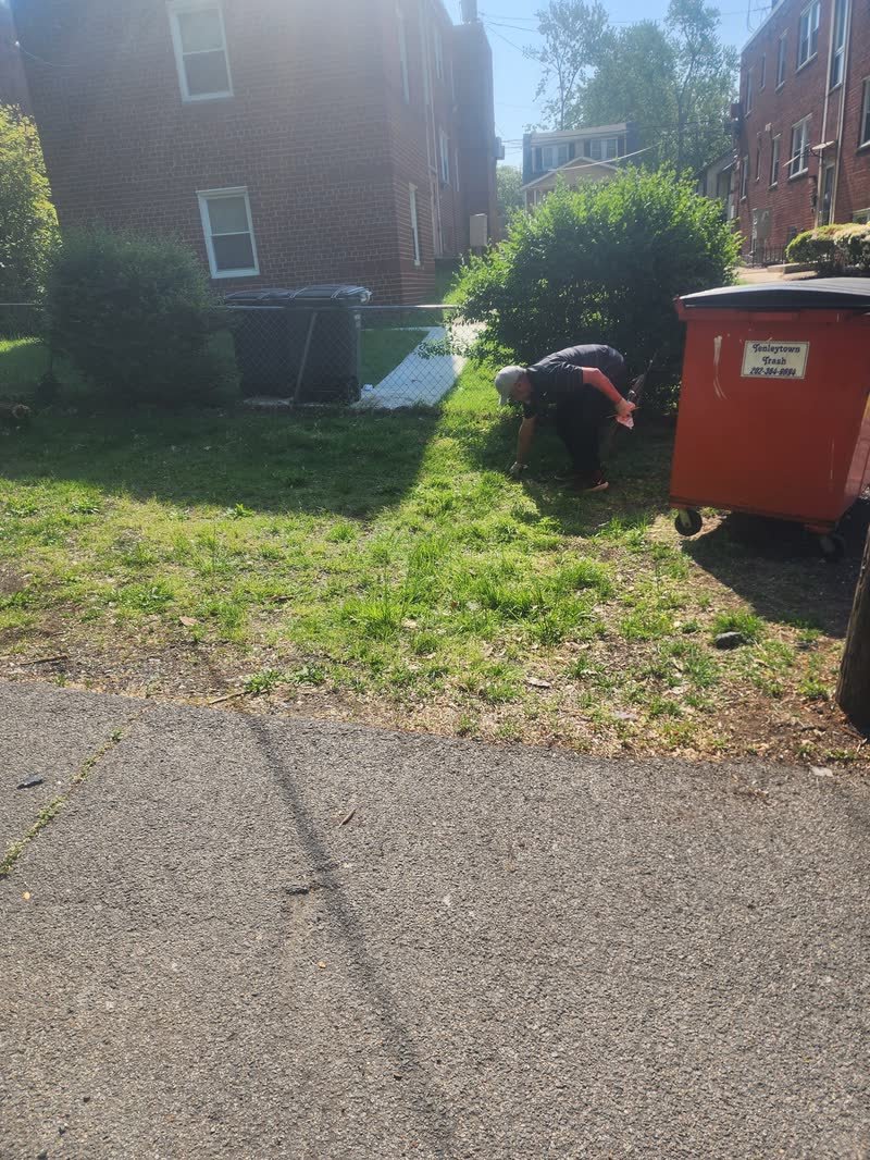 Rich Brothers worker clearing a back garden beside a dumpster during a yard waste removal job